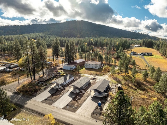 bird's eye view with a mountain view and a view of trees