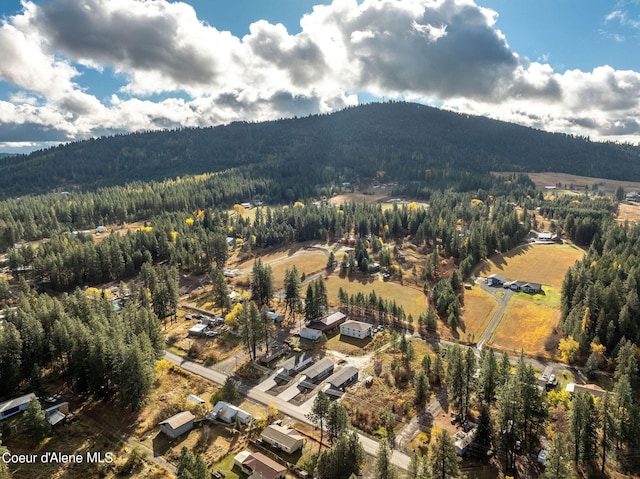 bird's eye view featuring a mountain view and a forest view