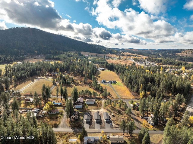 bird's eye view with a mountain view and a view of trees