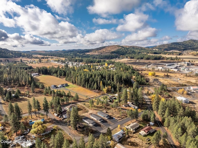 birds eye view of property with a mountain view