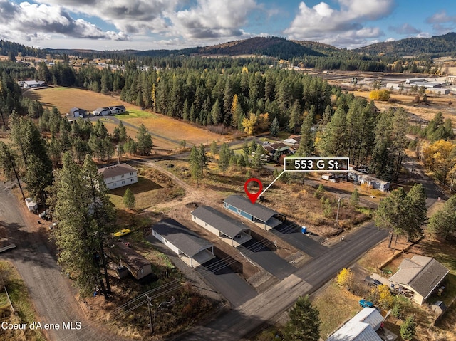 drone / aerial view with a mountain view and a view of trees