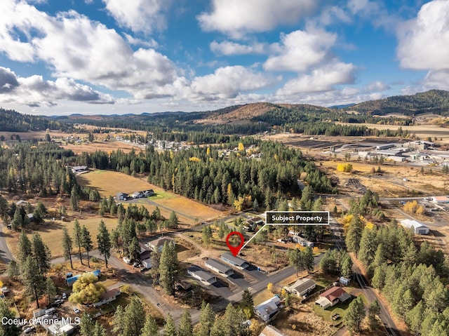 bird's eye view with a mountain view