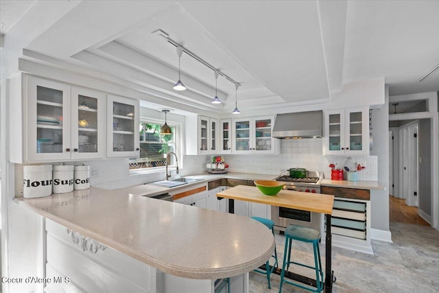 kitchen featuring a raised ceiling, backsplash, white cabinetry, a sink, and wall chimney exhaust hood