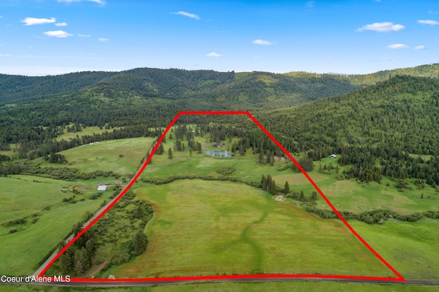 birds eye view of property featuring a wooded view and a mountain view