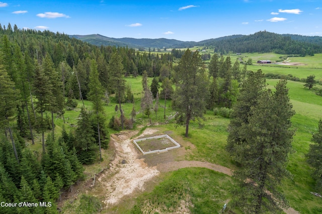 birds eye view of property featuring a mountain view and a view of trees