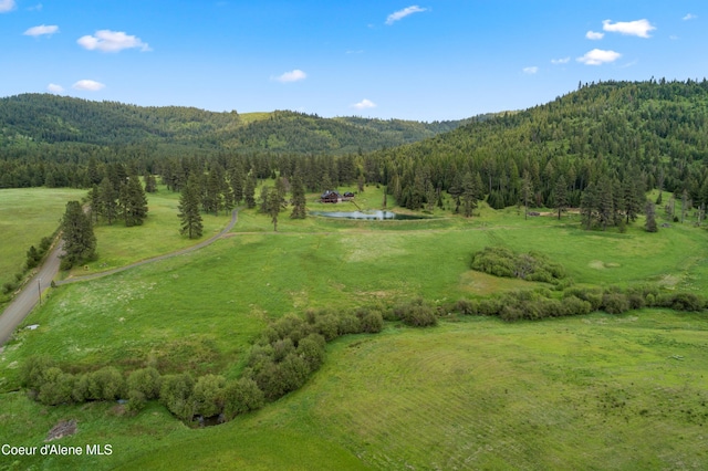 337 Coon Creek Rd, Plummer, ID 83851 - photo 49