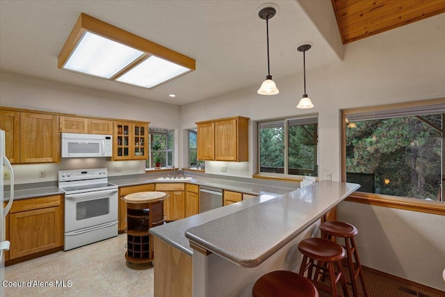 kitchen with stainless steel appliances, a peninsula, a sink, and a wealth of natural light