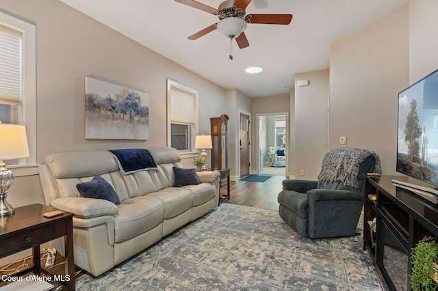 living area featuring a ceiling fan and wood finished floors