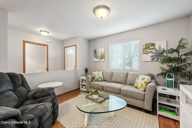 living area featuring wood finished floors