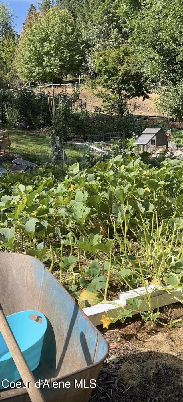 view of yard featuring a vegetable garden