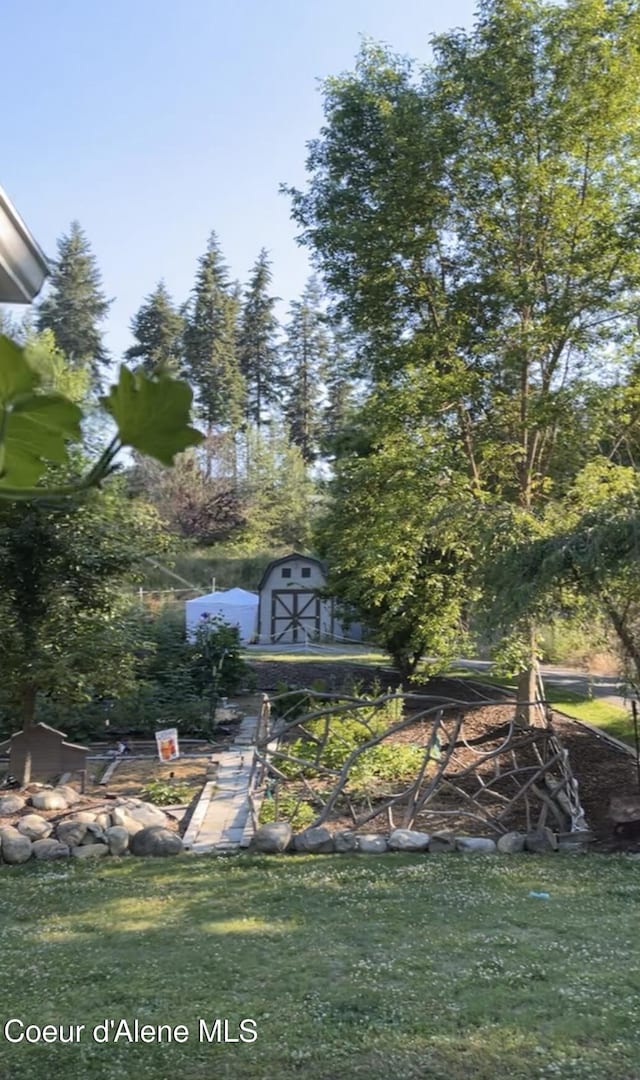 view of yard featuring a storage shed and an outdoor structure