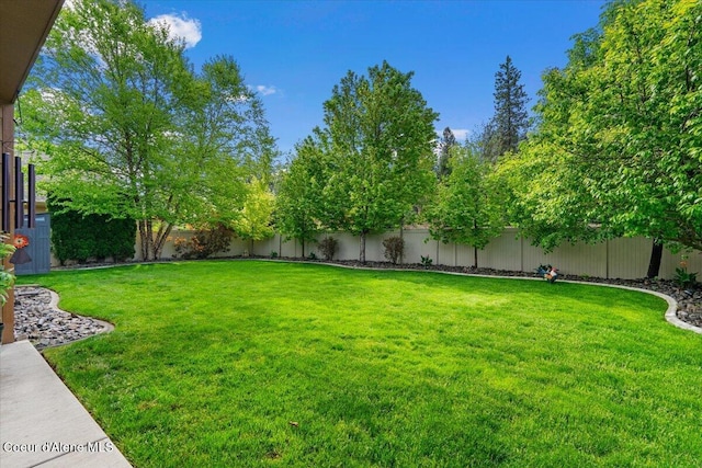 6489 E Kyong, Post Falls, ID 83854 - view of yard