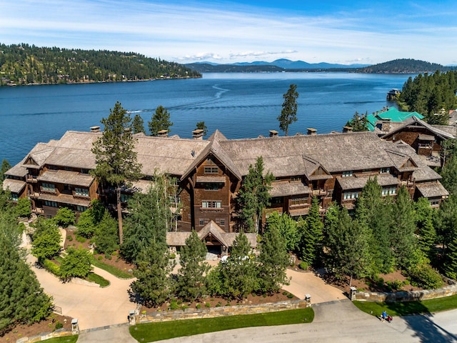 water view featuring a mountain view