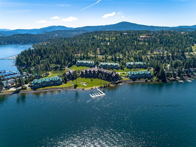 birds eye view of property featuring a forest view and a water and mountain view