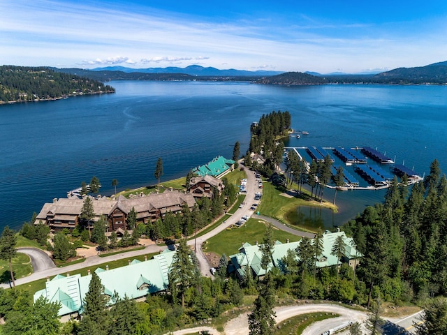 bird's eye view featuring a water and mountain view