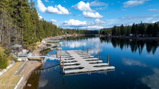 dock area featuring a water view and a forest view