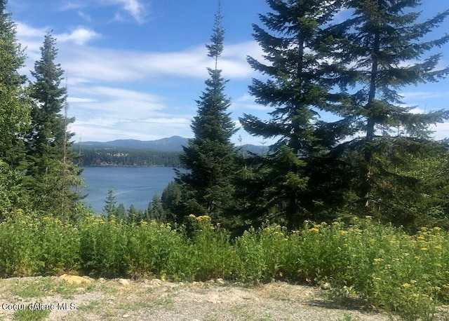 Lookout Dr, Hayden ID, 83835 land for sale