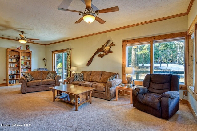 living area with a textured ceiling, carpet, baseboards, and crown molding