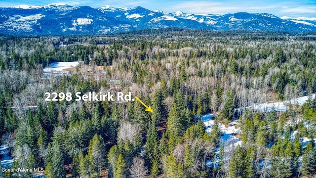 drone / aerial view featuring a mountain view and a view of trees