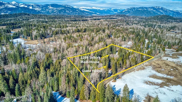 aerial view with a mountain view and a view of trees