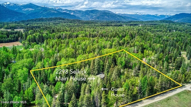 2298 Selkirk Rd, Sandpoint, ID 83864 - photo 52