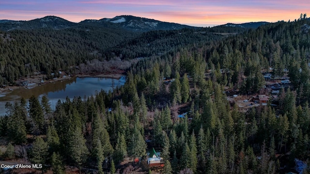 drone / aerial view featuring a wooded view and a water and mountain view