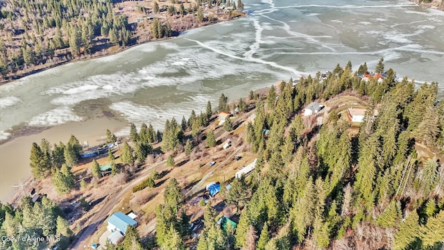 drone / aerial view with a water view and a view of trees