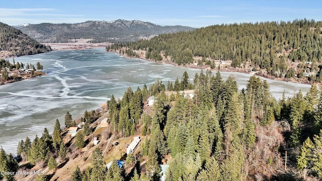 water view with a wooded view and a mountain view