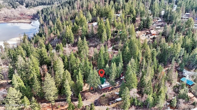 bird's eye view with a water view and a wooded view