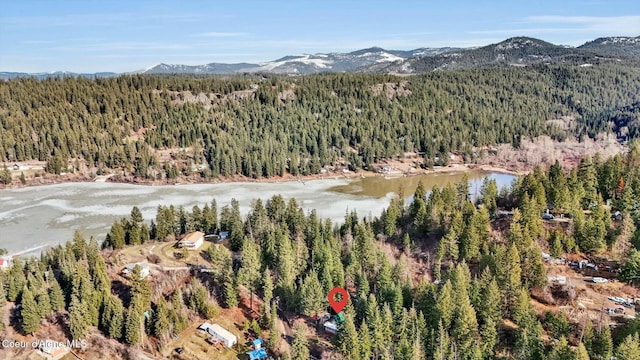 drone / aerial view with a forest view and a water and mountain view