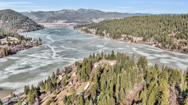 drone / aerial view featuring a forest view and a water and mountain view