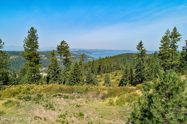 Listing photo 3 for NKA Lisa Rd, Harrison ID 83833