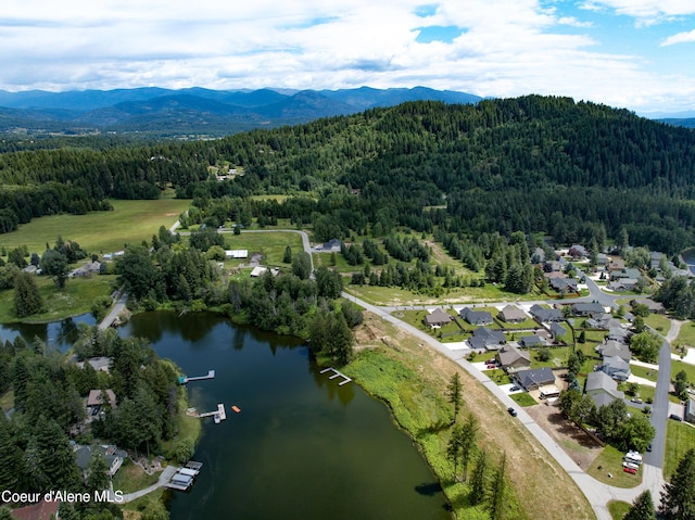 LOT7 Whiskey Jack Cir, Sandpoint, ID 83864 - photo 10