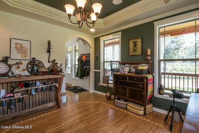 interior space with a chandelier, a tray ceiling, wood finished floors, and a healthy amount of sunlight