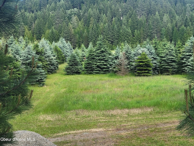 view of yard featuring a wooded view