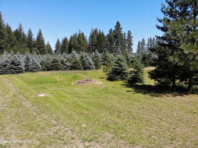 view of yard with a wooded view