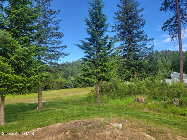view of yard with a wooded view