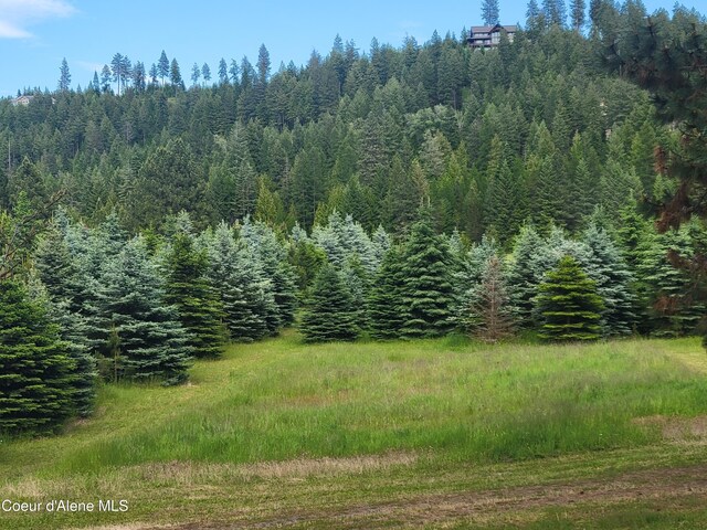 view of nature featuring a view of trees