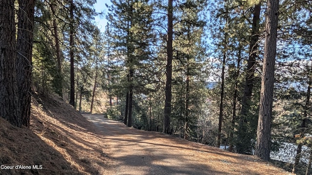 view of street featuring a wooded view