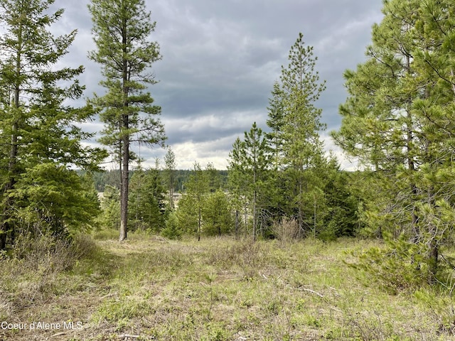 NKA Elizabeth Ln, Athol ID, 83801 land for sale