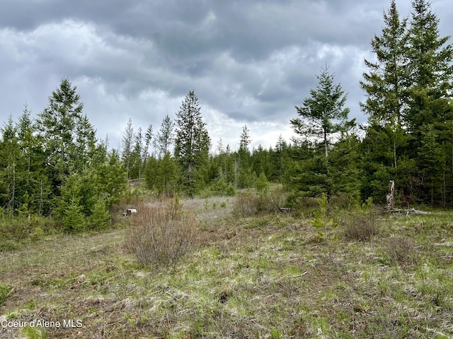 Listing photo 2 for NKA Elizabeth Ln, Athol ID 83801