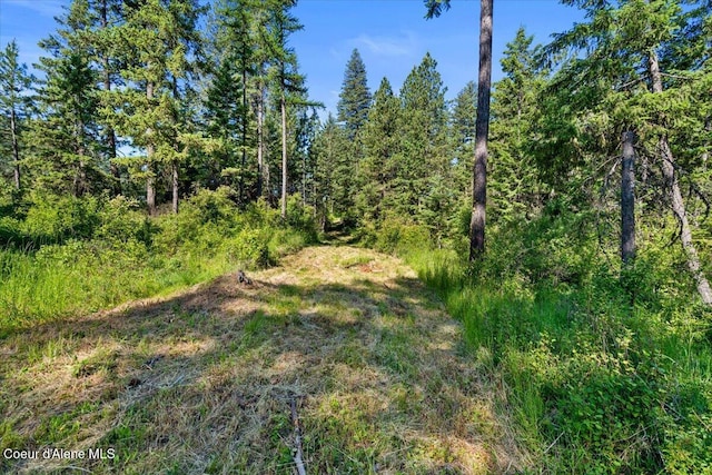 NKA-40AC W Conkling Rd, Worley, ID 83876