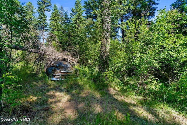 NKA-40AC W Conkling Rd, Worley, ID 83876