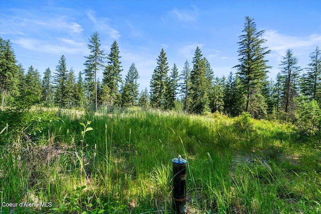 NKA-40AC W Conkling Rd, Worley, ID 83876