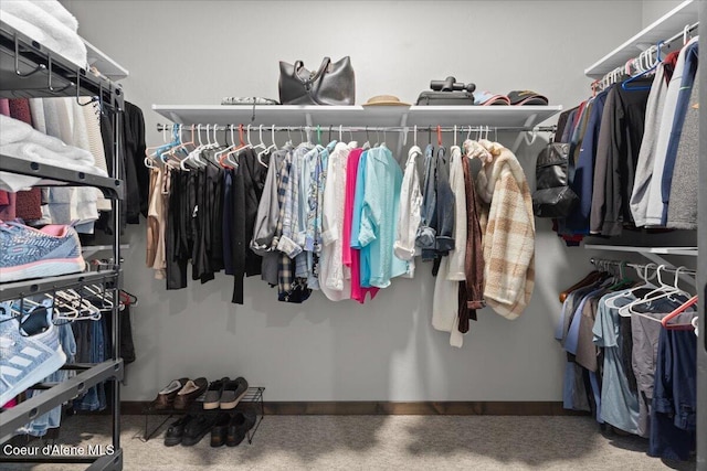 view of spacious closet