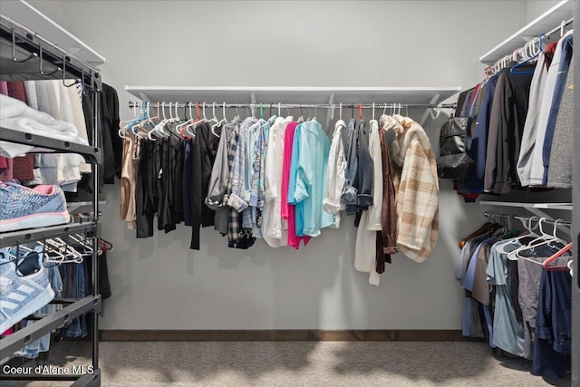 spacious closet with carpet