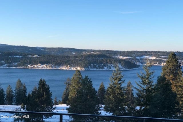 2766 S Helen Dr, Coeur Dalene, ID 83814 - view of water feature with a view of trees