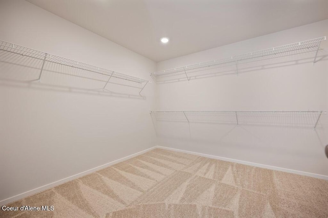 spacious closet with carpet flooring