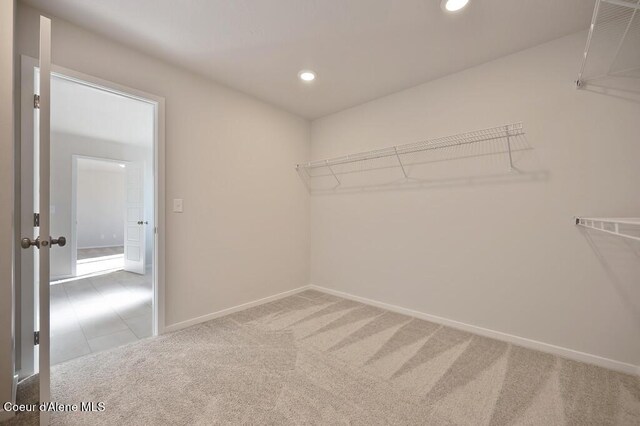 walk in closet with carpet floors