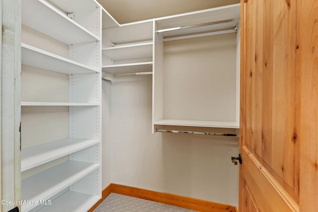 view of walk in closet